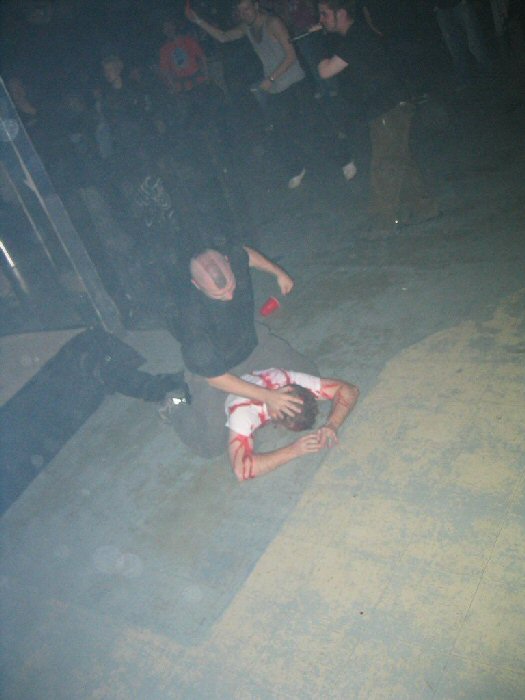 Picture 024.jpg.jpeg (56866 bytes)